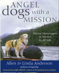 Angel Dogs with a Mission: Divine Messengers in Service to All Life Linda Anderson and Ph.D. Marc Bekoff